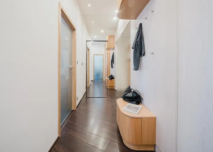 Days - Open-plan With Netflix In Zizkov Apartmán